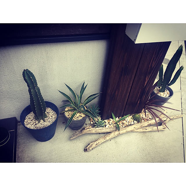 Evezhouseさんの実例写真