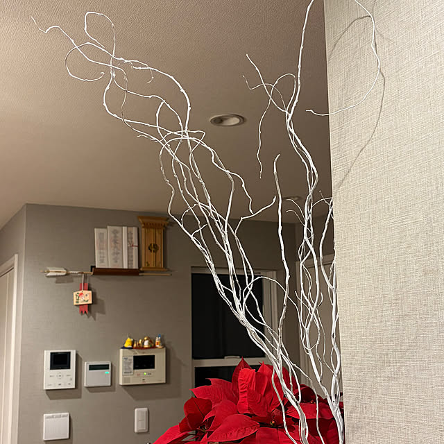 ikuzakさんの部屋