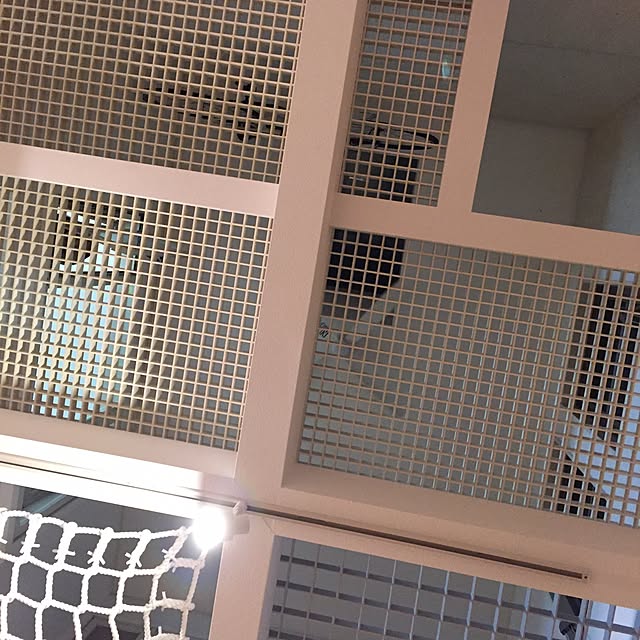 ajisai1092さんの実例写真