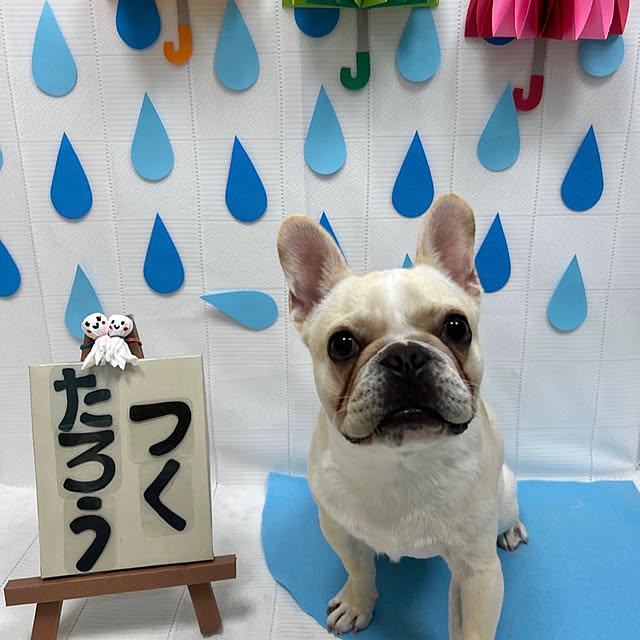 Inarichinさんの実例写真