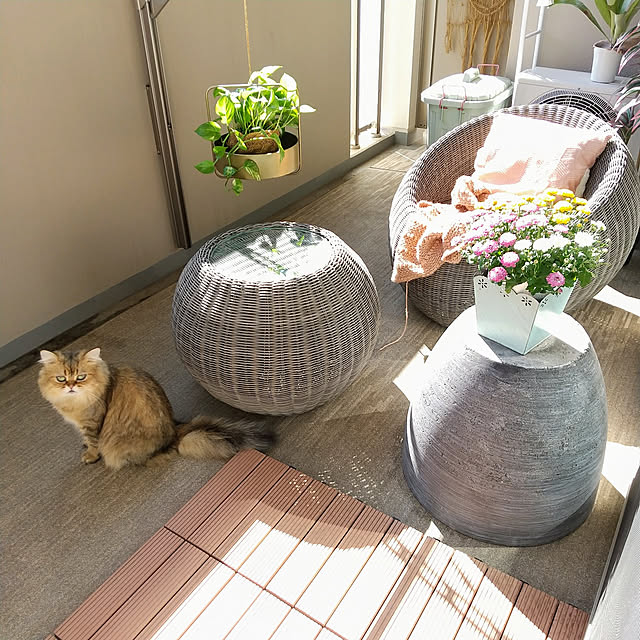 nobiさんの実例写真