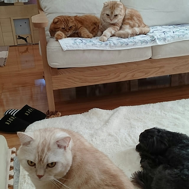 hanahanaさんの実例写真