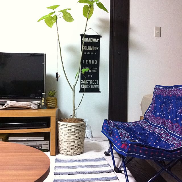 pさんの実例写真