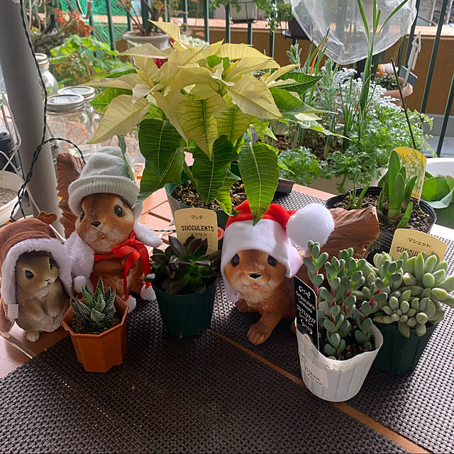 Aqettyさんの実例写真