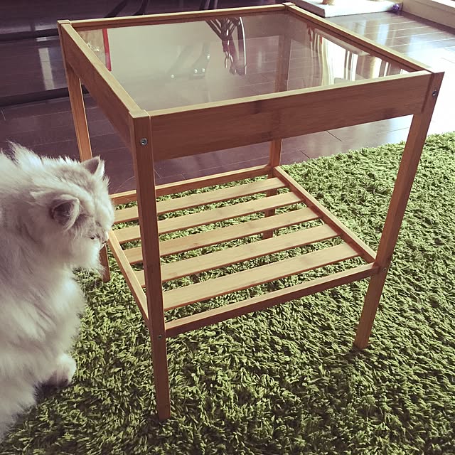 SORAさんの実例写真