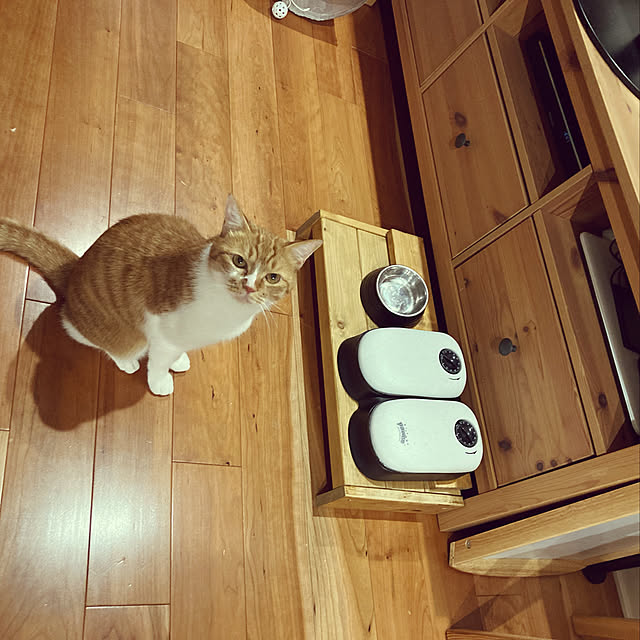 Kobamiさんの実例写真