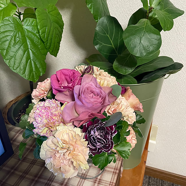 ronronさんの部屋