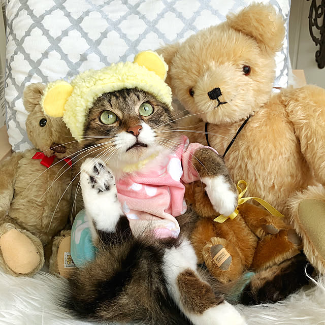 yuchiさんの実例写真