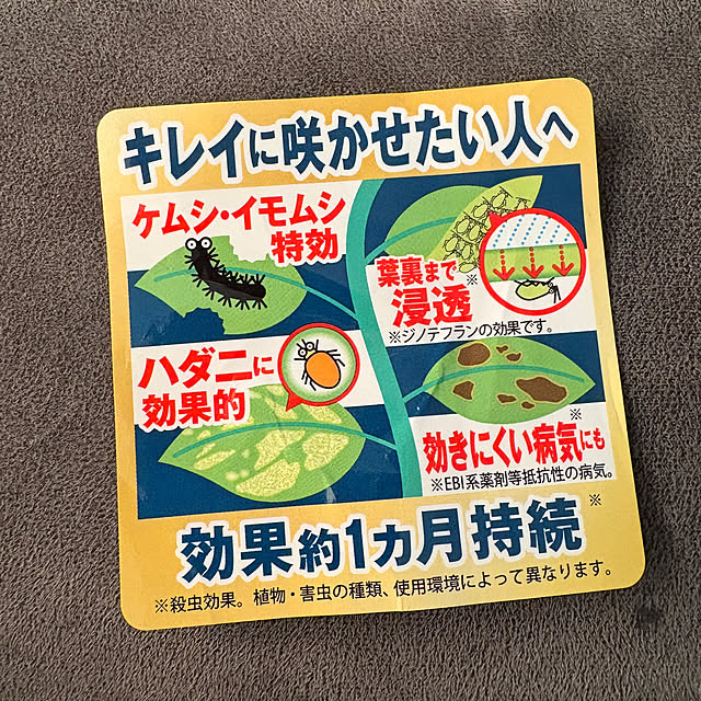 alchoさんの部屋
