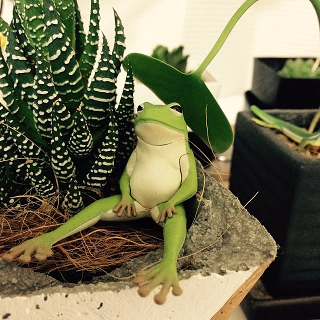 riakanaさんの実例写真
