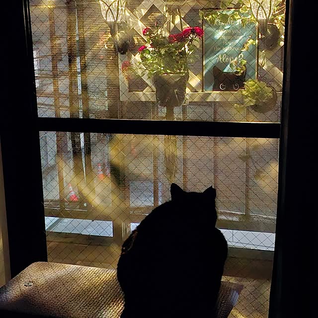 moko.7525himeさんの部屋