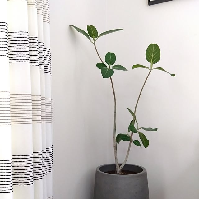 jun_y32_homeさんの部屋