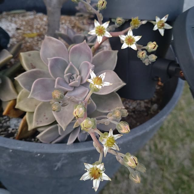 tan5さんの実例写真