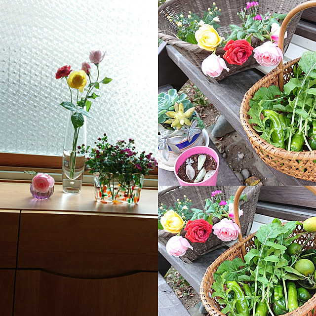 botanさんの実例写真