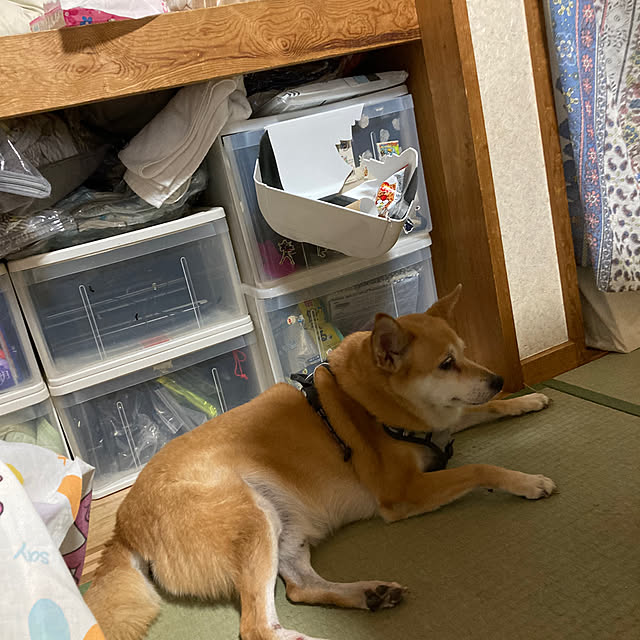 luckyさんの実例写真