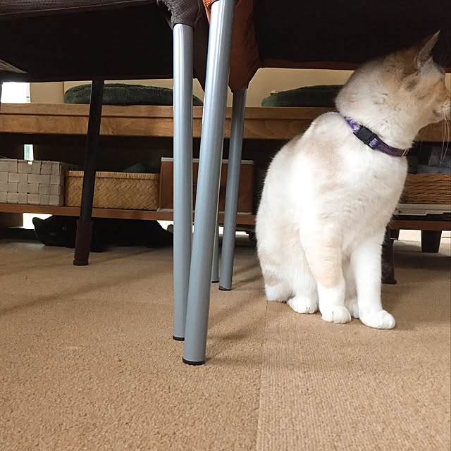 nanaさんの実例写真