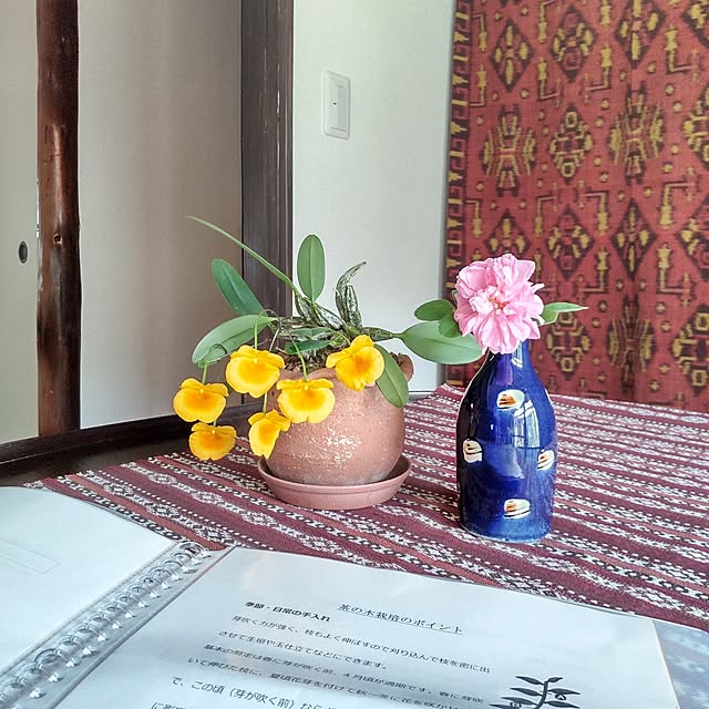 faunさんの実例写真