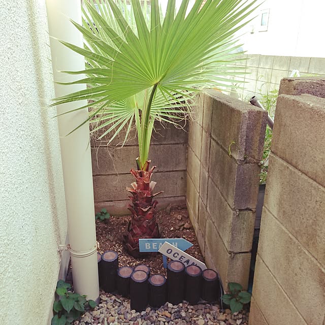 makicooさんの実例写真