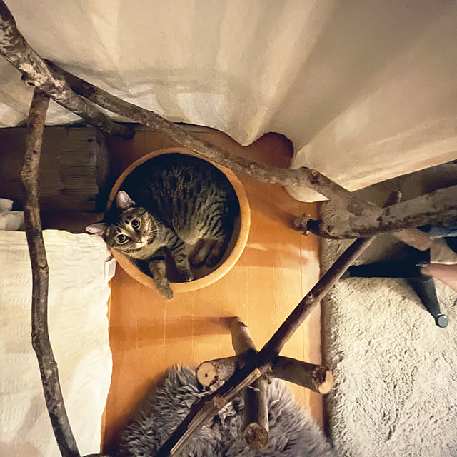 Mさんの実例写真