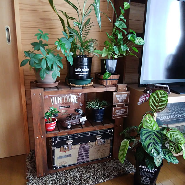 Brown.Lifeさんの実例写真