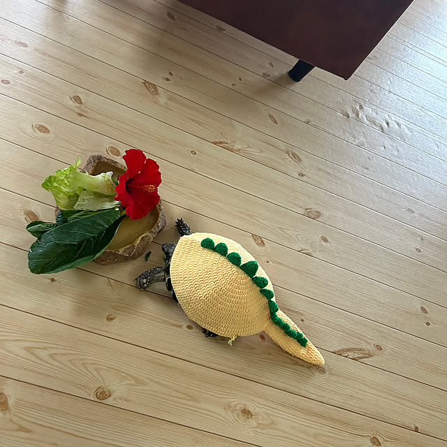 nee_roomさんの部屋