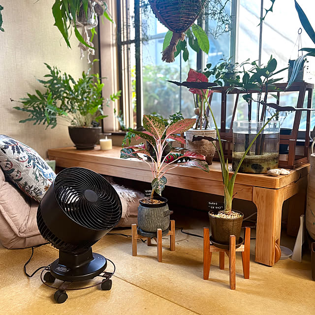 greycatsさんの部屋