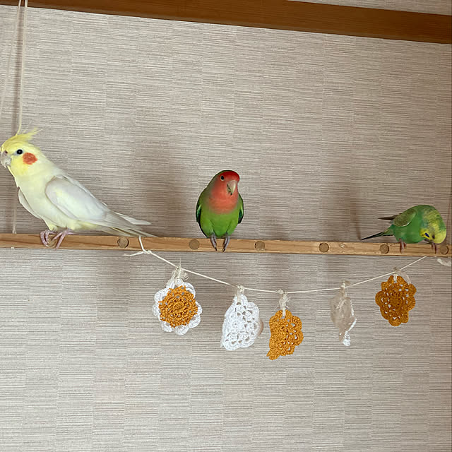 toratanさんの実例写真