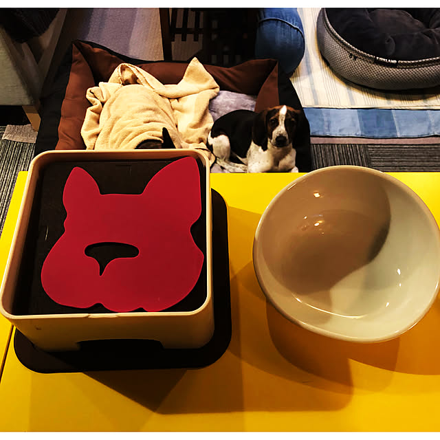 pecoさんの実例写真
