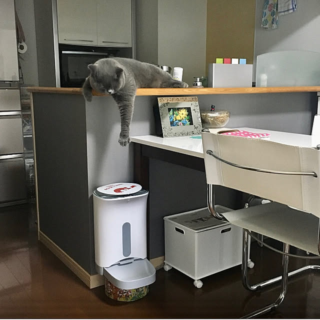 kittyさんの実例写真