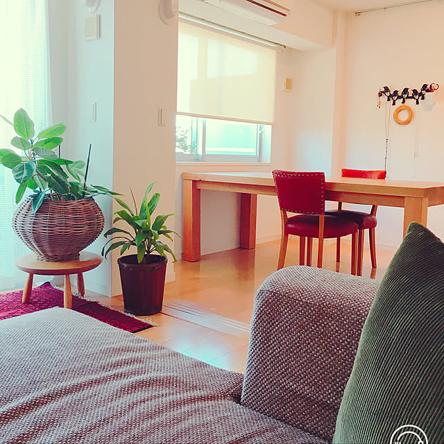 isola03さんの実例写真