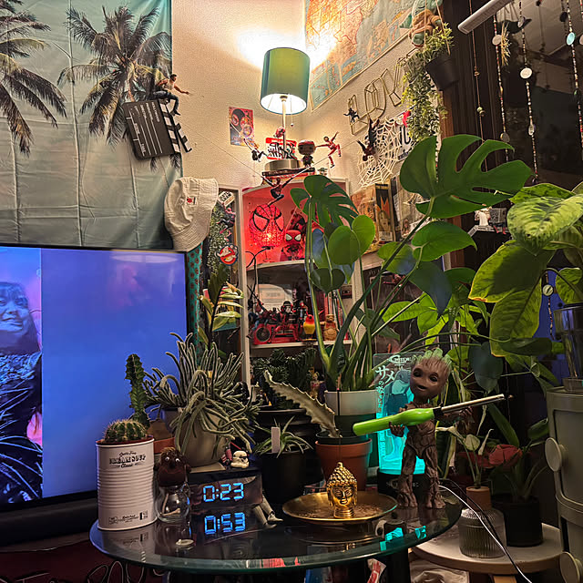 棚/観葉植物/雑貨/一人暮らし/照明のインテリア実例 - 2025-05-18 23:20:30