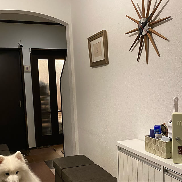 2525dogさんの実例写真