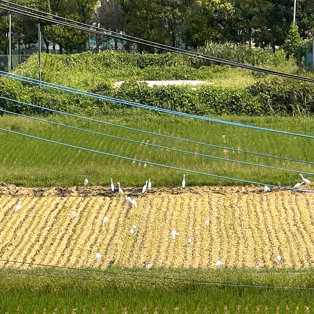 mizucchiさんの部屋