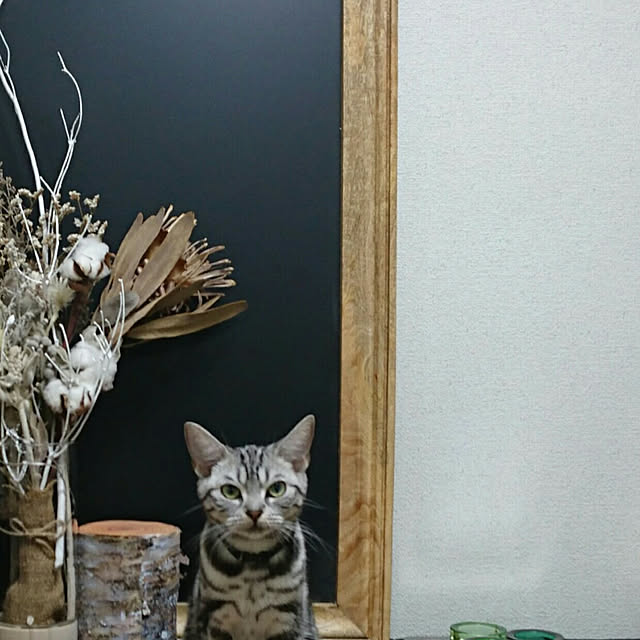 CatClipさんの実例写真