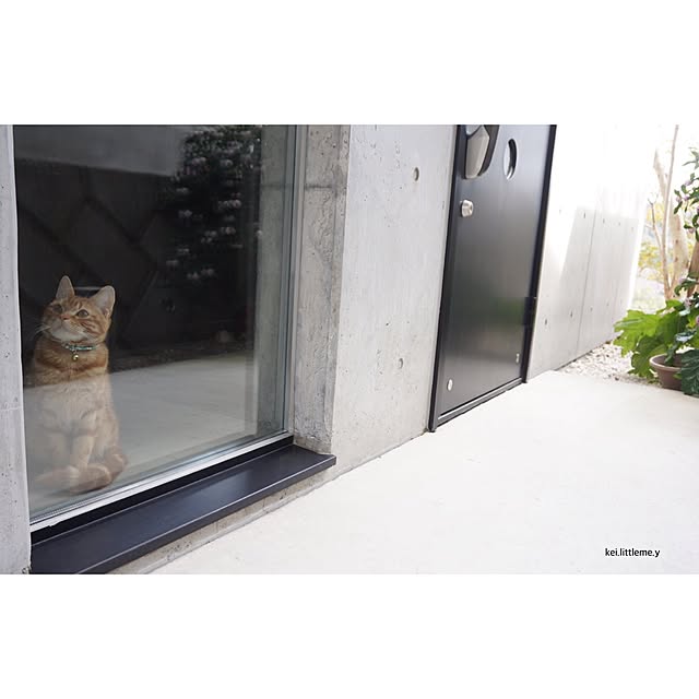 YOHKOさんの実例写真