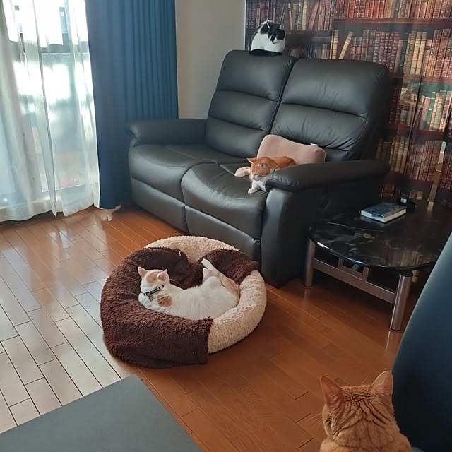 NOAHさんの部屋