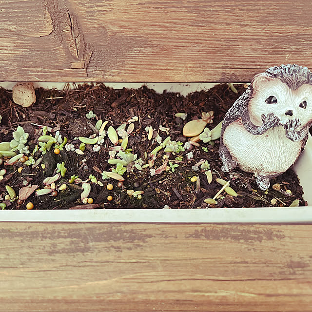 pekoさんの部屋