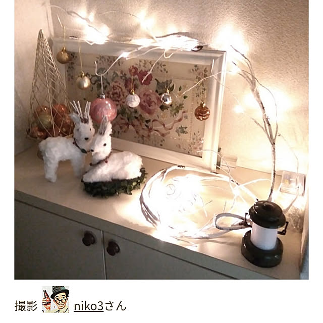niko3さんの実例写真