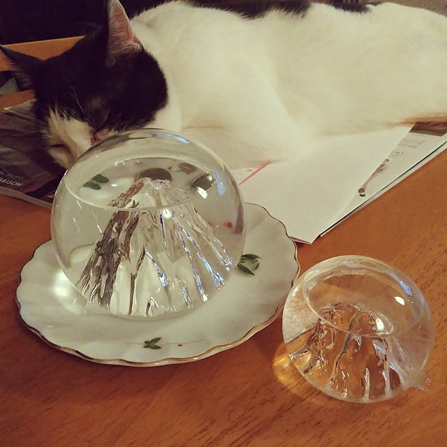 futukoさんの実例写真