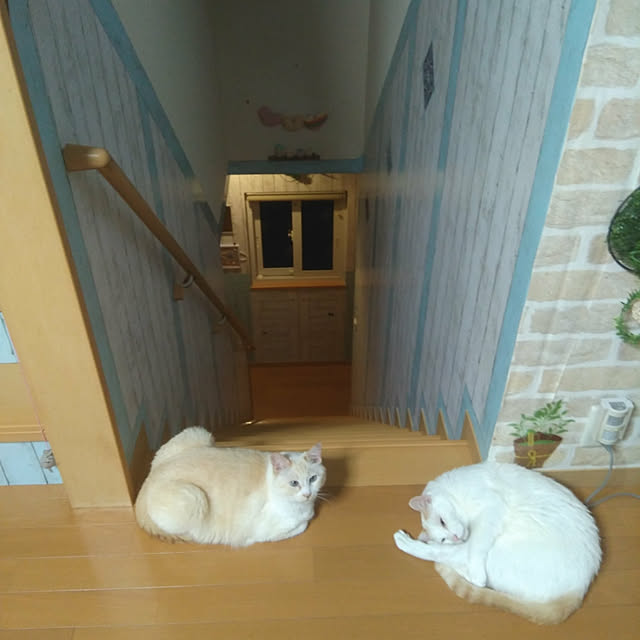 posauruさんの実例写真