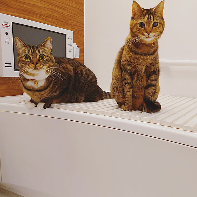 mochicoさんの実例写真