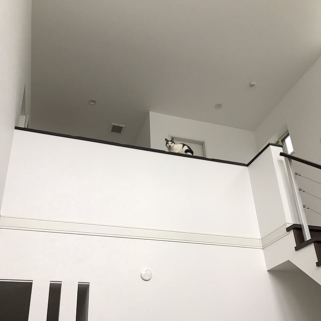 部屋全体/吹き抜け階段/吹き抜けのある家/吹き抜け/吹き抜けリビング...などのインテリア実例 - 2017-05-07 07:52:52