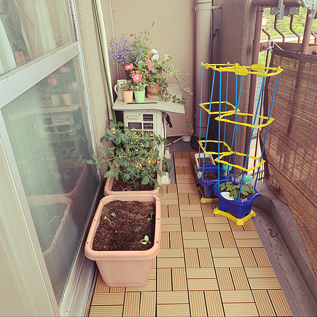 _yuzy_さんの実例写真