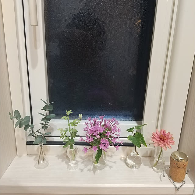 キッチン/木目/花瓶/季節を楽しむ暮らし/お花のある暮らし...などのインテリア実例 - 2022-07-11 23:33:20