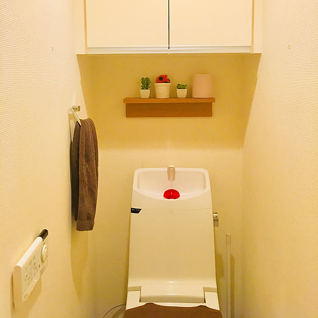 znieさんの実例写真