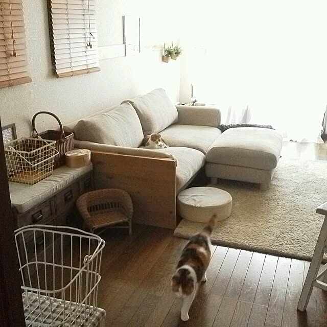mikiさんの実例写真