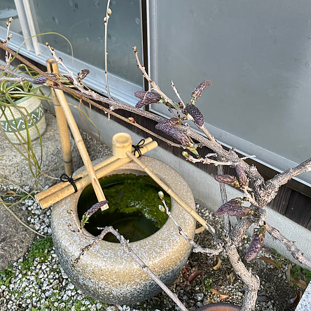 shin0719さんの実例写真