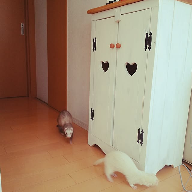 an89さんの実例写真
