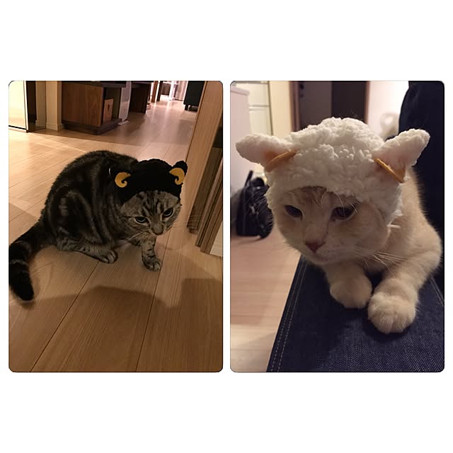 y.k.0123さんの実例写真