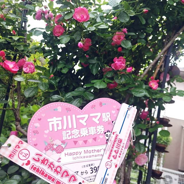 tsutawarimasuさんの実例写真